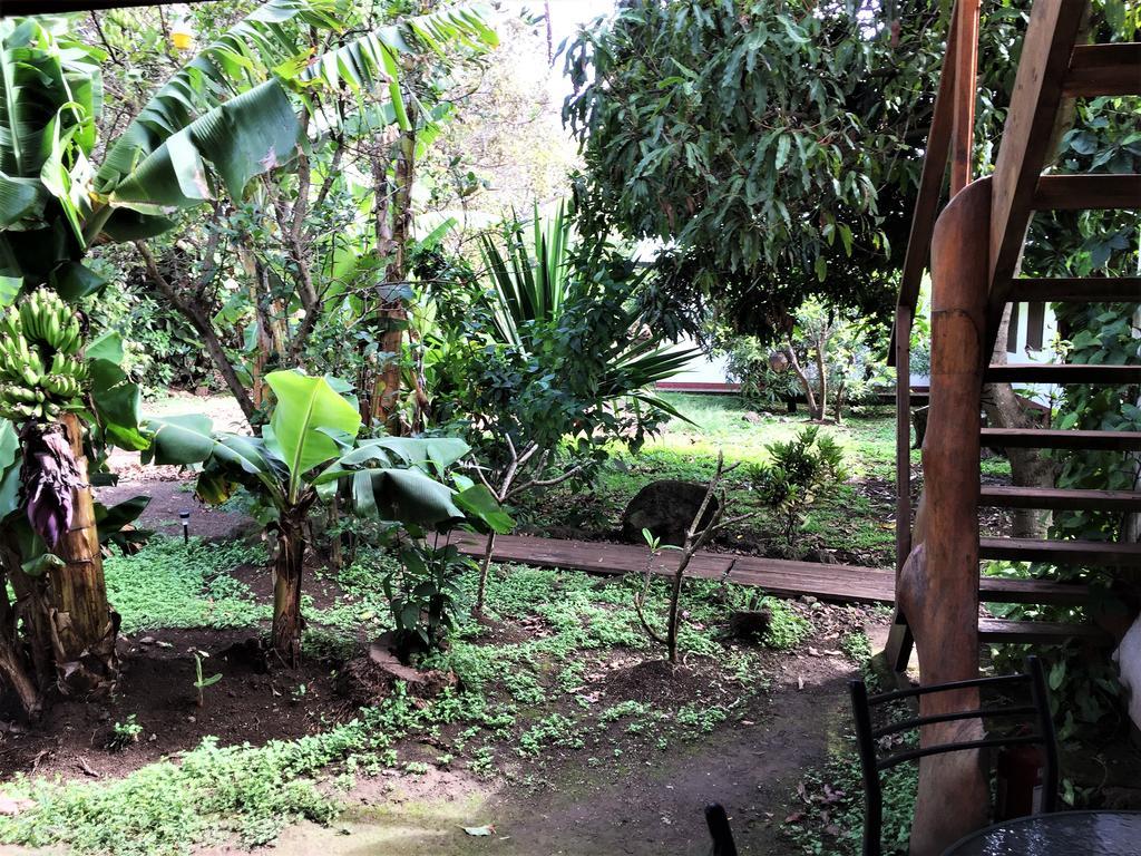 Hostal Marari Hanga Roa Ngoại thất bức ảnh
